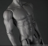 Do Uihyeok Awake with RS76 Body bundle (BJD doll) : Instock - Anubis Doll Café